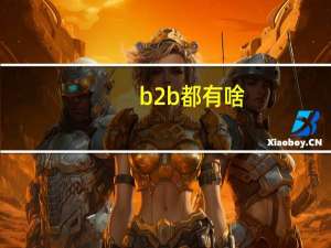 b2b都有啥