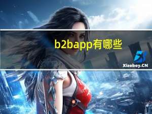 b2bapp有哪些