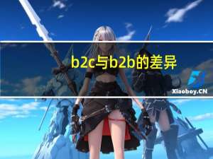 b2c与b2b的差异
