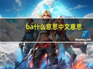 ba什么意思中文意思