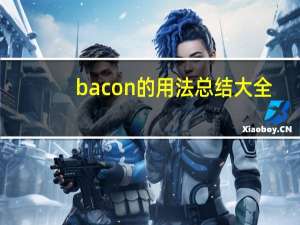bacon的用法总结大全