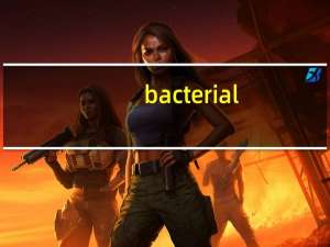 bacterial（bacteria）