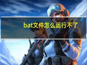 bat文件怎么运行不了（bat文件）