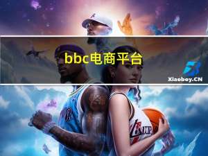 bbc电商平台（bbc-电子商务中的BBC模式简介）