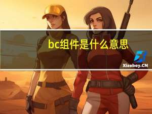 bc组件是什么意思