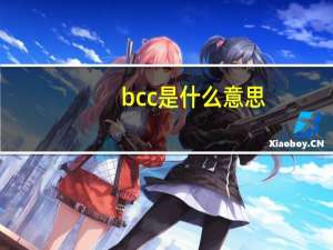 bcc是什么意思