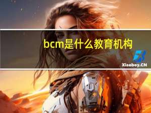 bcm是什么教育机构