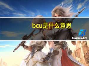 bcu是什么意思