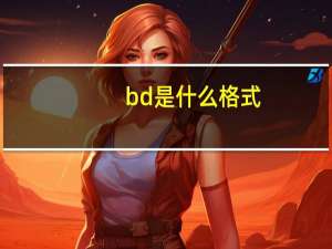 bd是什么格式（bd是什么）