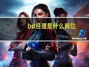 bd经理是什么岗位