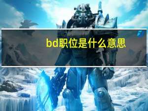 bd职位是什么意思