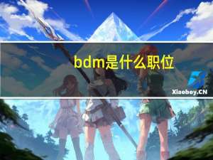 bdm是什么职位