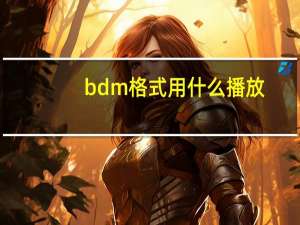 bdm格式用什么播放（bdmv文件夹怎么播放）