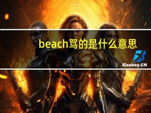 beach骂的是什么意思（beach骂人的意思）