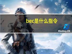bec是什么指令