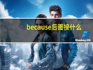 because后面接什么