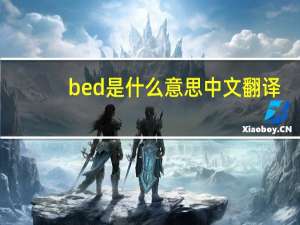bed是什么意思中文翻译