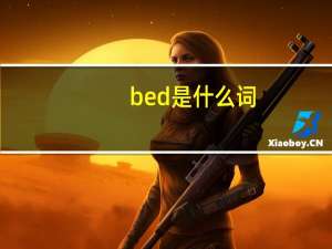 bed是什么词