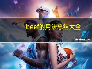 beef的用法总结大全