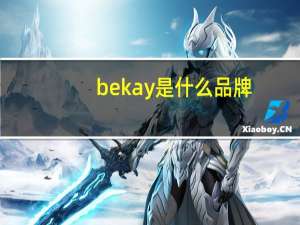 bekay是什么品牌