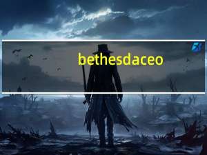bethesda ceo（bedchamber简介）