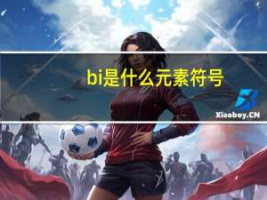 bi是什么元素符号（bi是什么）