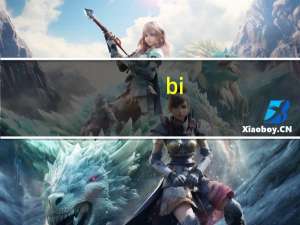 bi（关于bi的介绍）