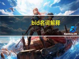 bid名词解释