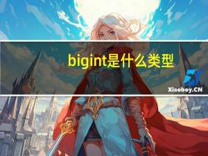 bigint是什么类型