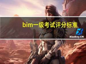 bim一级考试评分标准
