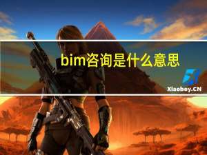bim咨询是什么意思