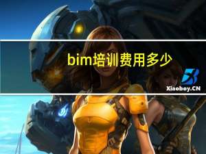 bim培训费用多少