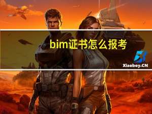 bim证书怎么报考