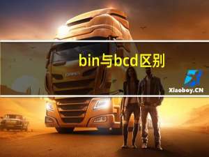 bin与bcd区别