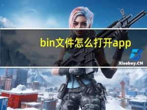 bin文件怎么打开app（bin文件怎么打开）