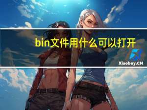 bin文件用什么可以打开（bin文件用什么打开）