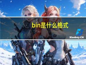 bin是什么格式
