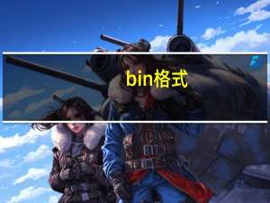 bin格式