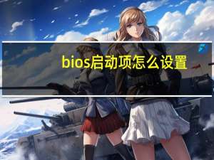 bios启动项怎么设置（bois）