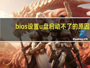 bios设置u盘启动不了的原因（bios设置u盘启动）