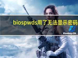 biospwds用了无法显示密码（biospwds）