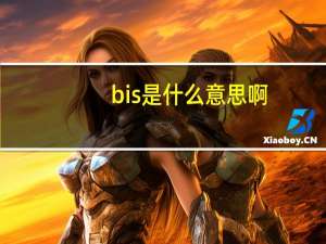 bis是什么意思啊