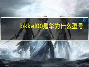 bkkal00是华为什么型号