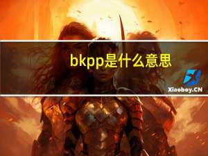 bkpp是什么意思