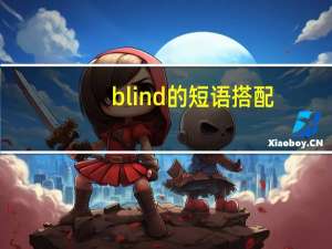 blind的短语搭配
