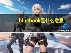 blue book是什么意思
