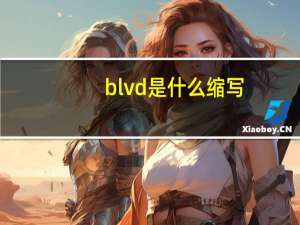 blvd是什么缩写