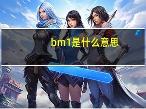 bm1是什么意思