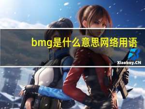 bmg是什么意思网络用语（bmg是什么意思）