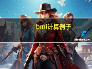 bmi计算例子
